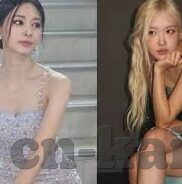 比分网球探足球即时比分-从比分网球探到足球即时比分，科技如何重塑体育观赛体验